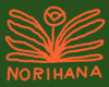 Norihana logo